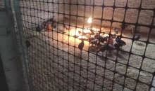 【乡村振兴】归兰水族乡翁奇村：特色养殖开启产业兴旺战斗模式